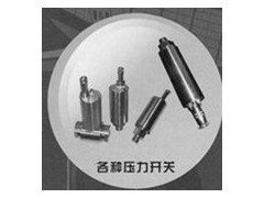 華瑞傳感廠價(jià)供應(yīng)各種壓力開(kāi)關(guān)