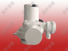 調(diào)節(jié)型電動(dòng)頭DQW20-WT DQTZ30