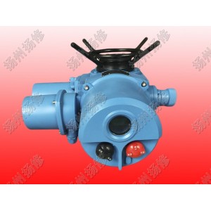 整體調(diào)節(jié)型電動執(zhí)行器DZW120-WT DZTZ120