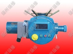 Z型智能型F-DZW10多回轉(zhuǎn)非侵入式電