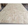 志陽木業(yè)OSB定向結(jié)構(gòu)板批發(fā)-北京市優(yōu)質(zhì)的志陽木業(yè)OSB定向結(jié)構(gòu)板供應(yīng)