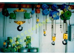 【實力廠家】生產供應環鏈電動葫蘆_