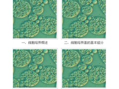 宜興賽爾生物提供宜興細胞培養基，