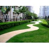 成都鑫鳴源園藝，專業(yè)的小區(qū)綠化公司_成都鑫鳴源園藝有限公司小區(qū)綠化