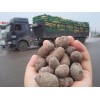 專業(yè)的頁巖陶粒供應(yīng)商_彤程輕質(zhì)建材 頁巖陶粒供貨廠家