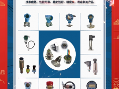 南京中創(chuàng)電子科技有限公司總經理  褚益峰 2024年新春寄語