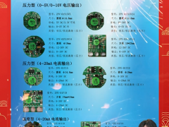 西安朗創(chuàng)電子技術有限公司 總經理  張亮 2024年新春寄語