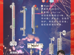 四川惠科達(dá)儀表制造有限公司 總經(jīng)理 藍(lán)若靈 2024年新春寄語