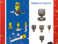 北京北方華瑞測(cè)控技術(shù)有限公司 銷售總監(jiān) 楊子 2024年新春寄語