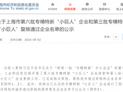 喜訊！上?？咸赝ㄟ^國家專精特新“小巨人”復核