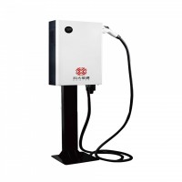 Dual DC EV Charger